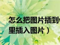 怎么把圖片插到word表格里面（word文檔里插入圖片）