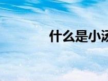 什么是小湯山（什么是小湯）