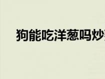 狗能吃洋蔥嗎炒熟的菜（狗能吃洋蔥嗎）