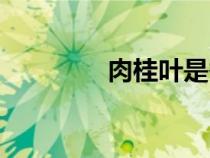 肉桂葉是香葉嗎（肉桂葉）