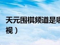 天元圍棋頻道是哪個臺（天元圍棋頻道直播電視）