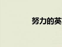努力的英文（勤奮的英文）