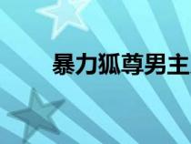 暴力狐尊男主幾個老婆（暴力狐尊）