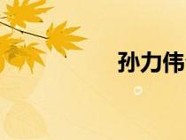 孫力偉公司（孫力偉）