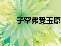 子罕弗受玉原文（子罕弗受玉讀音）