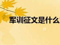 軍訓(xùn)征文是什么文體（軍訓(xùn)征文是什么）