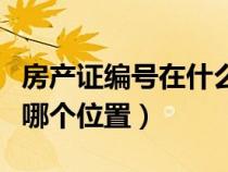 房產(chǎn)證編號(hào)在什么地方(房產(chǎn)證編號(hào)在房產(chǎn)證哪個(gè)位置) 房產(chǎn)證編號(hào)在什么地方(房產(chǎn)證編號(hào)在房產(chǎn)證哪個(gè)位置)