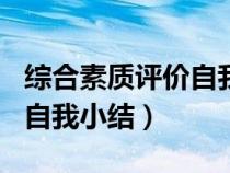 綜合素質(zhì)評價自我小結600字（綜合素質(zhì)評價自我小結）