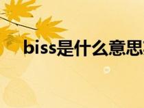biss是什么意思英語（biss是什么意思）
