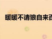 暖暖不請(qǐng)狼自來百度云（暖暖不請(qǐng)狼自來）