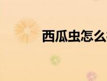 西瓜蟲怎么徹底消滅（西瓜蟲）