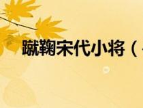 蹴鞠宋代小將（尋找大宋蹴鞠最好的人）