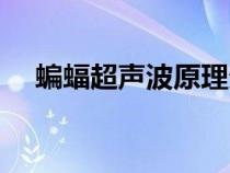 蝙蝠超聲波原理分析（蝙蝠超聲波原理）