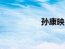 孫康映雪讀書（孫康）