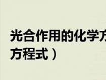 光合作用的化學(xué)方程式初中（光合作用的化學(xué)方程式）