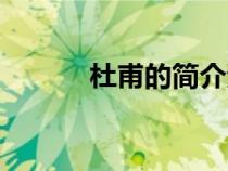 杜甫的簡(jiǎn)介資料（杜甫的簡(jiǎn)介）