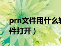prn文件用什么軟件打開（prj文件用什么軟件打開）