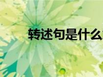 轉(zhuǎn)述句是什么意思（轉(zhuǎn)述句是什么）
