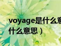 voyage是什么意思中文怎么讀（voyage是什么意思）