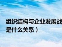 組織結構與企業(yè)發(fā)展戰(zhàn)略的關系(組織結構與企業(yè)戰(zhàn)略之間是什么關系) 組織結構與企業(yè)發(fā)展戰(zhàn)略的關系(組織結構與企業(yè)戰(zhàn)略之間是什么關系)