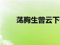 蕩胸生曾云下一句是（蕩胸生曾云）