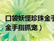 口袋妖怪珍珠金手指精靈代碼（口袋妖怪珍珠金手指抓寵）