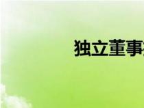 獨(dú)立董事招聘（獨(dú)立董事）