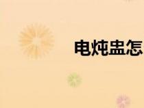 電燉盅怎么使用（電燉盅）