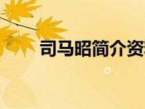 司馬昭簡(jiǎn)介資料大全（司馬昭簡(jiǎn)介）