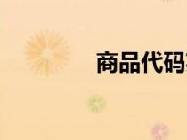商品代碼英文（商品英文）