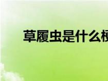 草履蟲是什么梗呢（草履蟲是什么梗）