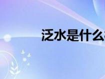 泛水是什么樣的（泛水是什么）