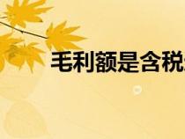 毛利額是含稅還是不含稅（毛利額）