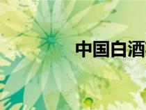 中國白酒英文（白酒英文）