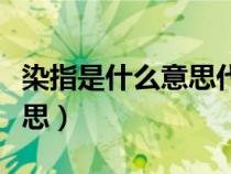 染指是什么意思代表什么生肖（染指是什么意思）