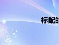 標配的含義（標配）