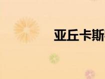 亞丘卡斯實(shí)力（亞丘卡斯）