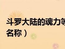 斗羅大陸的魂力等級名稱（斗羅大陸魂力等級名稱）