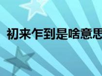 初來乍到是啥意思?（初來乍到是什么意思）