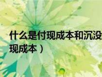 什么是付現(xiàn)成本和沉沒成本?該分類有什么作用?（什么是付現(xiàn)成本）