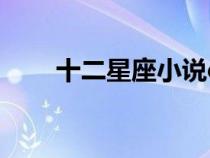 十二星座小說cp文（十二星座小說）