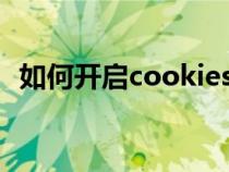 如何開啟cookies功能（cookie怎么開啟）