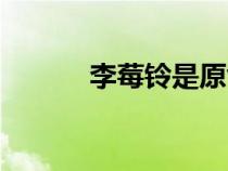 李莓鈴是原創(chuàng)角色嗎（李莓鈴）