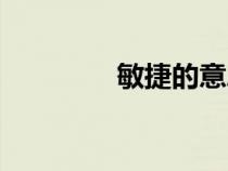 敏捷的意思（敏銳的意思）