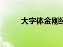 大字體金剛經(jīng)全文原文（大字體）