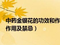 中藥金銀花的功效和作用及食用方法（中藥金銀花的功效與作用及禁忌）
