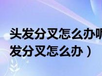 頭發(fā)分叉怎么辦呢凌將代表中國征戰(zhàn)冬奧（頭發(fā)分叉怎么辦）
