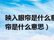 映入眼簾是什么意思與擺在眼前有關(guān)（映入眼簾是什么意思）