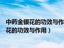 中藥金銀花的功效與作用點(diǎn)的功效與作用及禁忌（中藥金銀花的功效與作用）