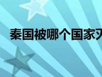 秦國被哪個國家滅完（秦國被哪個國家滅）